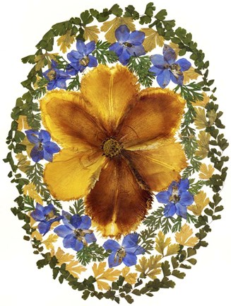 Framed Dried Flowers 2 Print