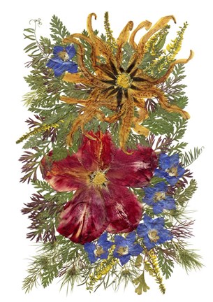 Framed Flower Fantasy 8 Print