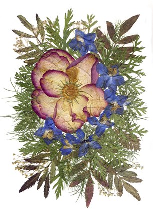 Framed Flower Fantasy 9 Print