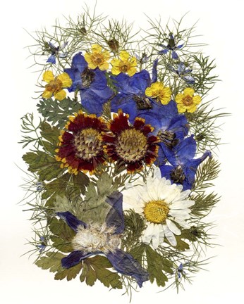 Framed Flower Fantasy 12 Print