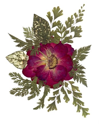 Framed Flower Fantasy 23 Print