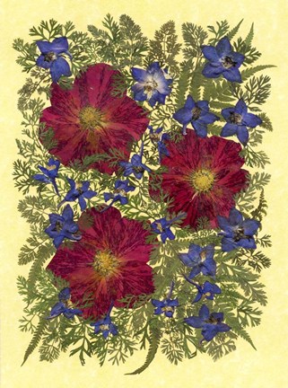 Framed Flower Fantasy 32 Print