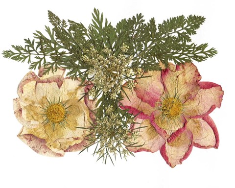 Framed Flower Fantasy 34 Print