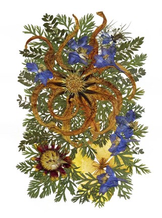 Framed Flower Fantasy 37 Print