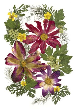 Framed Flower Fantasy 39 Print