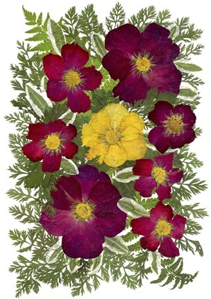 Framed Flower Fantasy 46 Print