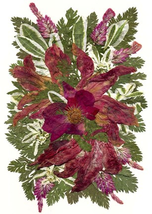 Framed Flower Fantasy 49 Print