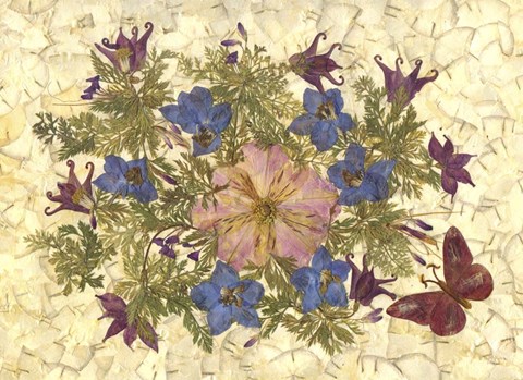 Framed Butterfly And Flowers 1 Print