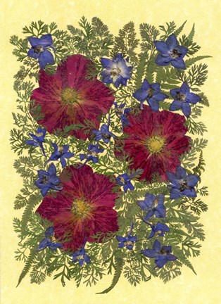 Framed Dried Flowers 10 Print