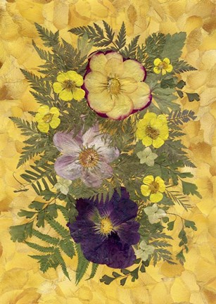 Framed Dried Flowers 15 Print