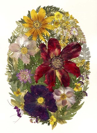 Framed Dried Flowers 20 Print