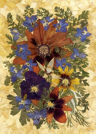 Framed Dried Flowers 21 Print