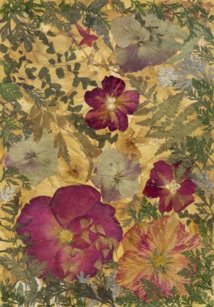 Framed Dried Flowers 22 Print