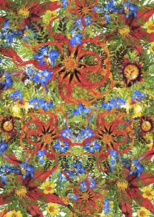 Framed Dried Flowers 31 Print