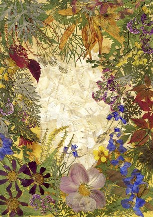 Framed Dried Flowers 37 Print