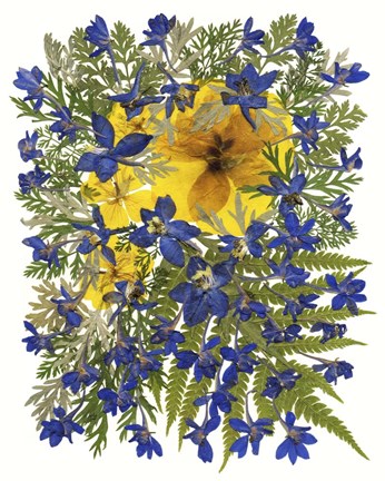 Framed Dried Flowers 42 Print