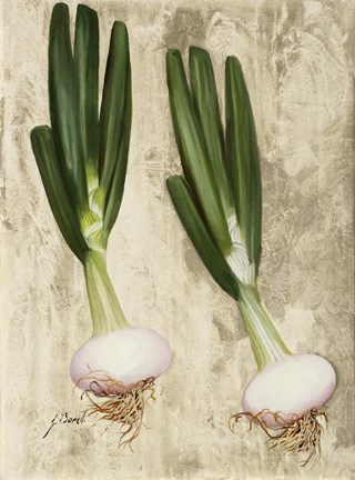 Framed Cipollotti Print