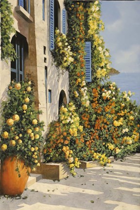 Framed Canarinodue Print