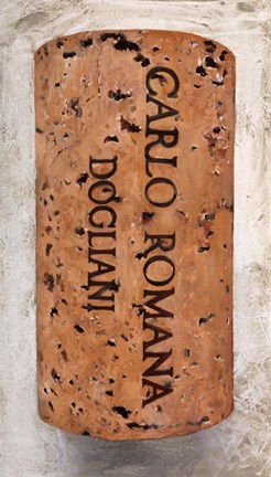 Framed Carlo Romana Print