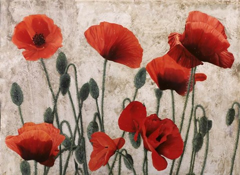 Framed Sette Papaveri - Tanti Papaveri Print