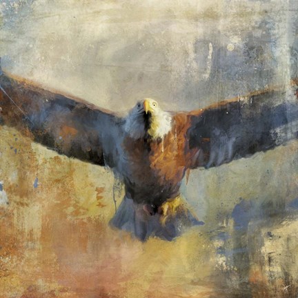 Framed Overhead Print