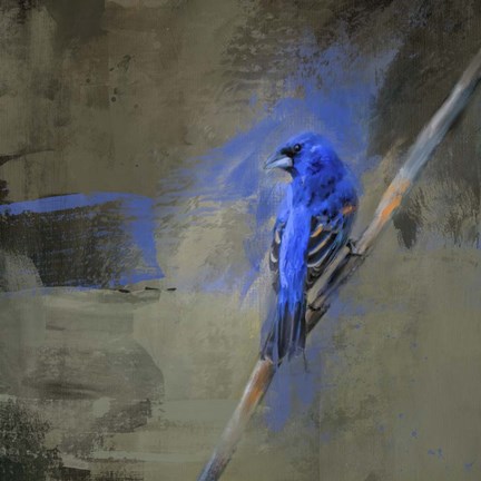 Framed Royal One Print