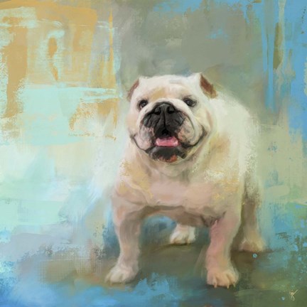 Framed White English Bulldog Print