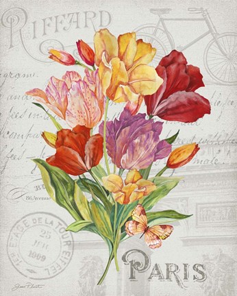 Framed Bouquet Francais F Print