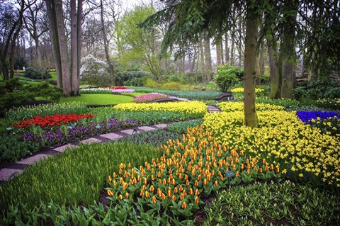 Framed Colorful Corner Keukenhof Tulips Garden 4 Print