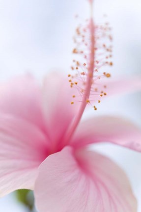 Framed Invitation Into the Light Print