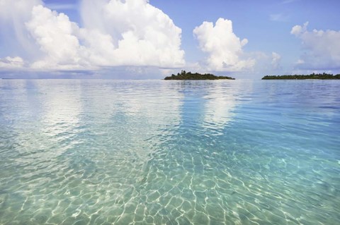 Framed Sunny Invitation Print