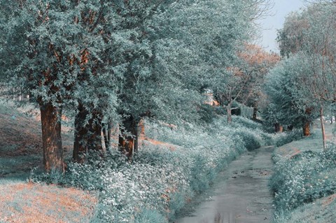 Framed Time Goes By Print