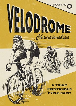 Framed Velodrome Print