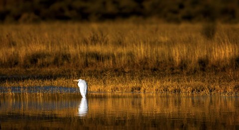 Framed Rest Stop Print