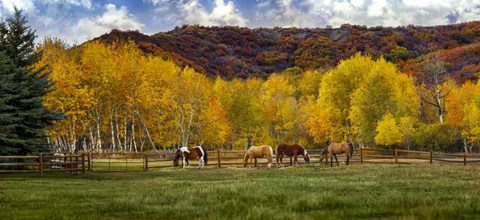 Framed Colorado Farm Print