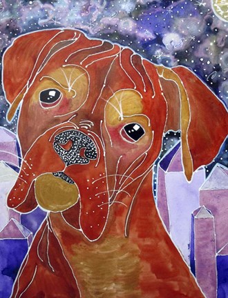 Framed Cosmic Boxer Print