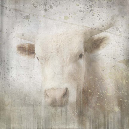 Framed Antique Farm 07 Print