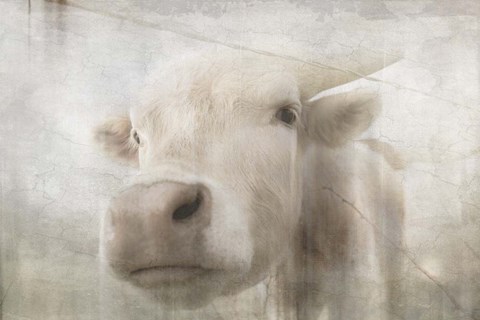 Framed Antique Farm 18 Print