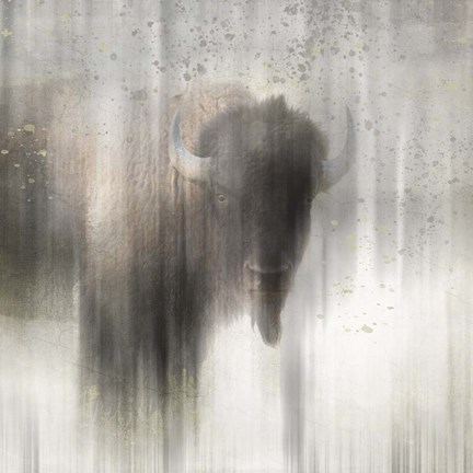 Framed Antique Wildlife Buffalo Print