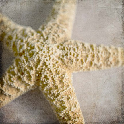 Framed Under the Sea 03 Print