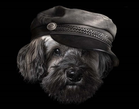 Framed Captain Print