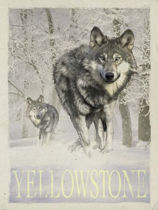 Framed Wolf Snow Print
