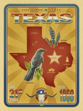 Framed Texas Print