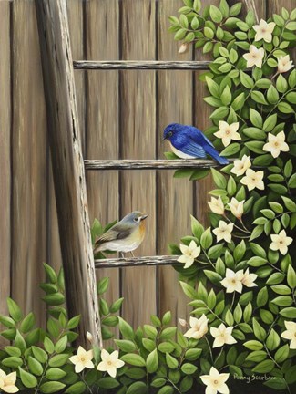 Framed Weathered and Feathered Print