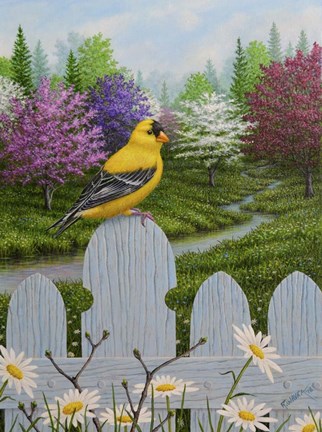 Framed Goldfinch and Daisies Print