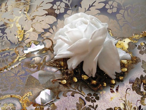 Framed Winter Rose Print