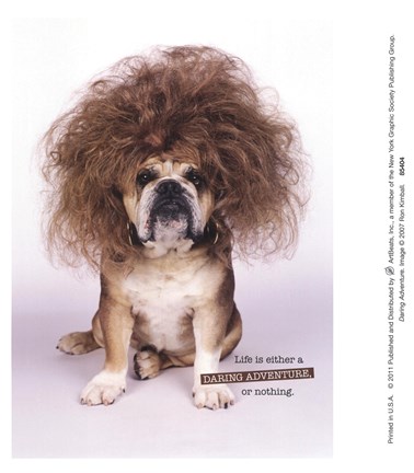 Framed Daring Adventure Print