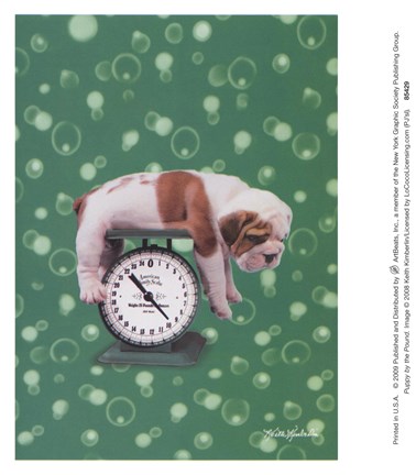 Framed Puppy by the Pound Print