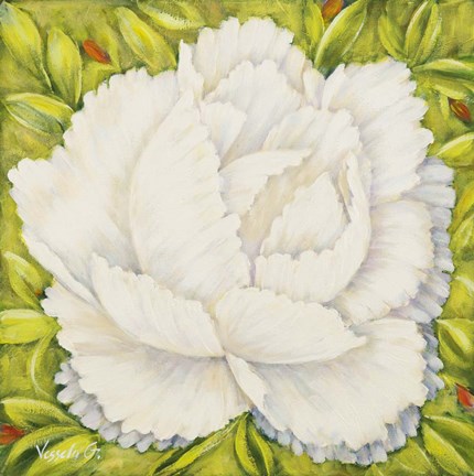 Framed White Peony Print