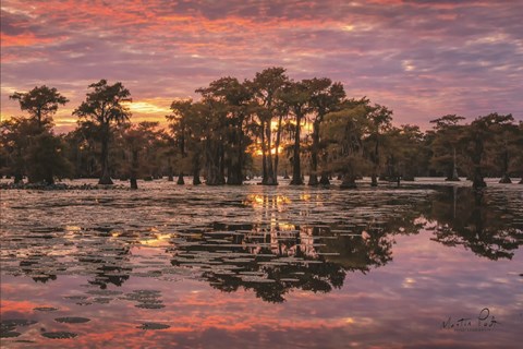 Framed Sundown in the Swamps Print